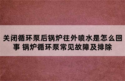 关闭循环泵后锅炉往外喷水是怎么回事 锅炉循环泵常见故障及排除